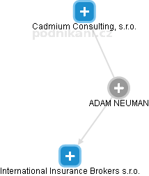  Adam N. - Vizualizace  propojení osoby a firem v obchodním rejstříku