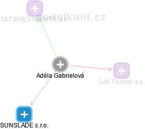 Adéla Gabrielová - Vizualizace  propojení osoby a firem v obchodním rejstříku