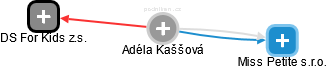 Adéla Kaššová - Vizualizace  propojení osoby a firem v obchodním rejstříku