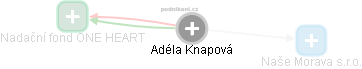  Adéla K. - Vizualizace  propojení osoby a firem v obchodním rejstříku