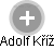 Adolf Kříž - Vizualizace  propojení osoby a firem v obchodním rejstříku