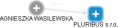  Wasilewska A. - Vizualizace  propojení osoby a firem v obchodním rejstříku