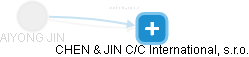  Jin A. - Vizualizace  propojení osoby a firem v obchodním rejstříku