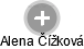  Alena Č. - Vizualizace  propojení osoby a firem v obchodním rejstříku