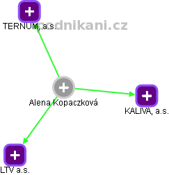 Alena Kopaczková - Vizualizace  propojení osoby a firem v obchodním rejstříku