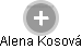 Alena Kosová - Vizualizace  propojení osoby a firem v obchodním rejstříku