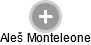 Aleš Monteleone - Vizualizace  propojení osoby a firem v obchodním rejstříku