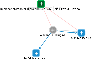  Alexandra B. - Vizualizace  propojení osoby a firem v obchodním rejstříku