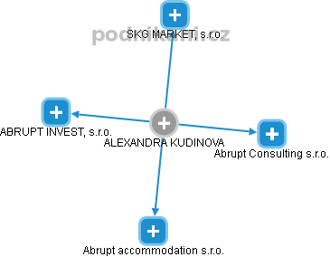  Alexandra K. - Vizualizace  propojení osoby a firem v obchodním rejstříku