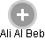 Ali Al Beb - Vizualizace  propojení osoby a firem v obchodním rejstříku