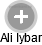 Ali Iybar - Vizualizace  propojení osoby a firem v obchodním rejstříku