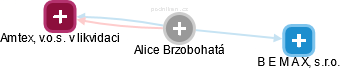  Alice B. - Vizualizace  propojení osoby a firem v obchodním rejstříku