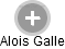 Alois Galle - Vizualizace  propojení osoby a firem v obchodním rejstříku