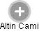Altin Cami - Vizualizace  propojení osoby a firem v obchodním rejstříku