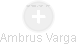  Ambrus V. - Vizualizace  propojení osoby a firem v obchodním rejstříku