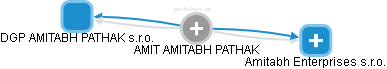  Amit P. - Vizualizace  propojení osoby a firem v obchodním rejstříku