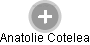 Anatolie Cotelea - Vizualizace  propojení osoby a firem v obchodním rejstříku