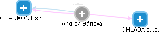  Andrea B. - Vizualizace  propojení osoby a firem v obchodním rejstříku