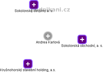 Andrea Karlová - Vizualizace  propojení osoby a firem v obchodním rejstříku