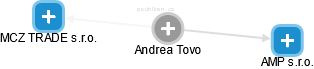 Andrea Tovo - Vizualizace  propojení osoby a firem v obchodním rejstříku