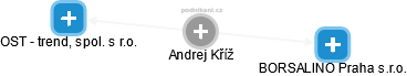  Andrej K. - Vizualizace  propojení osoby a firem v obchodním rejstříku