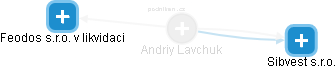  Andriy L. - Vizualizace  propojení osoby a firem v obchodním rejstříku
