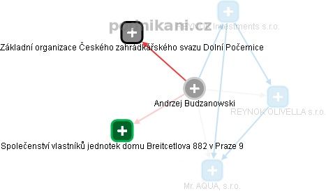 Andrzej Budzanowski - Vizualizace  propojení osoby a firem v obchodním rejstříku