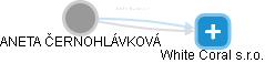  Černohlávková A. - Vizualizace  propojení osoby a firem v obchodním rejstříku