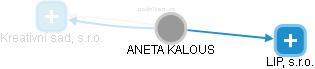  Aneta K. - Vizualizace  propojení osoby a firem v obchodním rejstříku