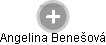  Angelina B. - Vizualizace  propojení osoby a firem v obchodním rejstříku