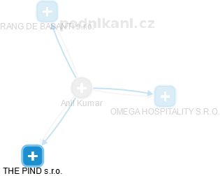  Anil K. - Vizualizace  propojení osoby a firem v obchodním rejstříku