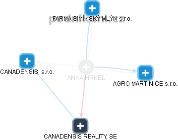 ANNA HRKEĹ - Vizualizace  propojení osoby a firem v obchodním rejstříku