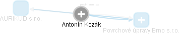 Antonín Kozák - Vizualizace  propojení osoby a firem v obchodním rejstříku