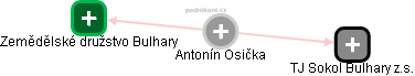 Antonín Osička - Vizualizace  propojení osoby a firem v obchodním rejstříku