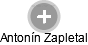 Antonín Zapletal - Vizualizace  propojení osoby a firem v obchodním rejstříku