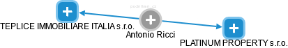  Antonio R. - Vizualizace  propojení osoby a firem v obchodním rejstříku
