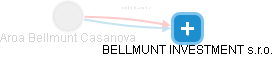  Bellmunt A. - Vizualizace  propojení osoby a firem v obchodním rejstříku