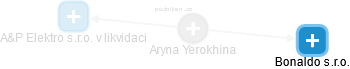 Aryna Yerokhina - Vizualizace  propojení osoby a firem v obchodním rejstříku