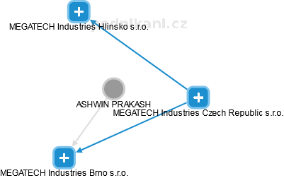 ASHWIN PRAKASH - Vizualizace  propojení osoby a firem v obchodním rejstříku