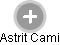 Astrit Cami - Vizualizace  propojení osoby a firem v obchodním rejstříku
