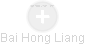 Bai Hong Liang - Vizualizace  propojení osoby a firem v obchodním rejstříku