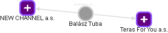 Balász Tuba - Vizualizace  propojení osoby a firem v obchodním rejstříku