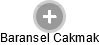  Baransel C. - Vizualizace  propojení osoby a firem v obchodním rejstříku