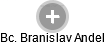  Branislav A. - Vizualizace  propojení osoby a firem v obchodním rejstříku
