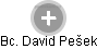 David Pešek - Vizualizace  propojení osoby a firem v obchodním rejstříku