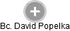 David Popelka - Vizualizace  propojení osoby a firem v obchodním rejstříku