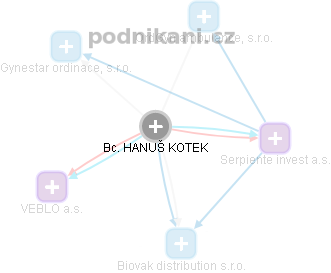  Hanuš K. - Vizualizace  propojení osoby a firem v obchodním rejstříku