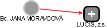  Moravcová J. - Vizualizace  propojení osoby a firem v obchodním rejstříku