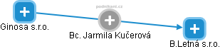  Jarmila K. - Vizualizace  propojení osoby a firem v obchodním rejstříku