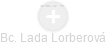 Lada Lorberová - Vizualizace  propojení osoby a firem v obchodním rejstříku